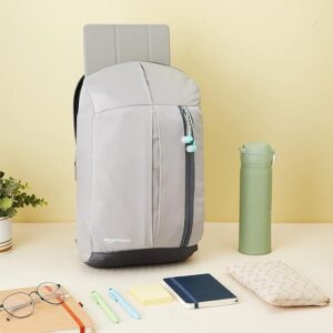 amazon basics - Mini Backpack for Outdoor Use (12 l) (Metallic Grey)