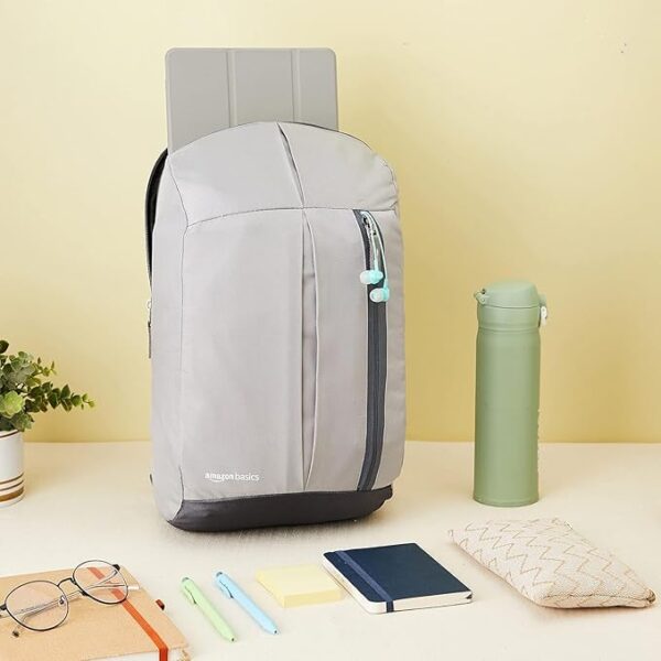 amazon basics - Mini Backpack for Outdoor Use (12 l) (Metallic Grey)